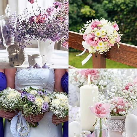 Preserved Baby's Breath 3 Bunches 100% Natrual Fresh Gypsophila Long Lasting Flowers for Home Decoration Photo and Weddings