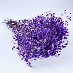 puple