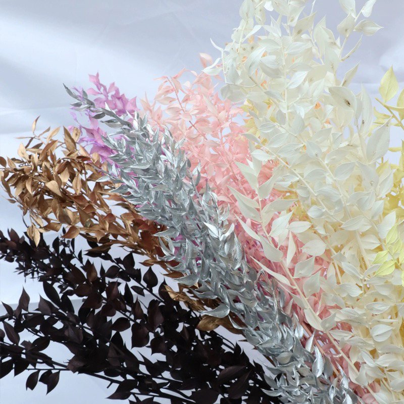 55cm Dried Forever Preserved Ruscus Flowers DIY Floral Decoration Dry Flower Bouquet for Wedding Home Decor