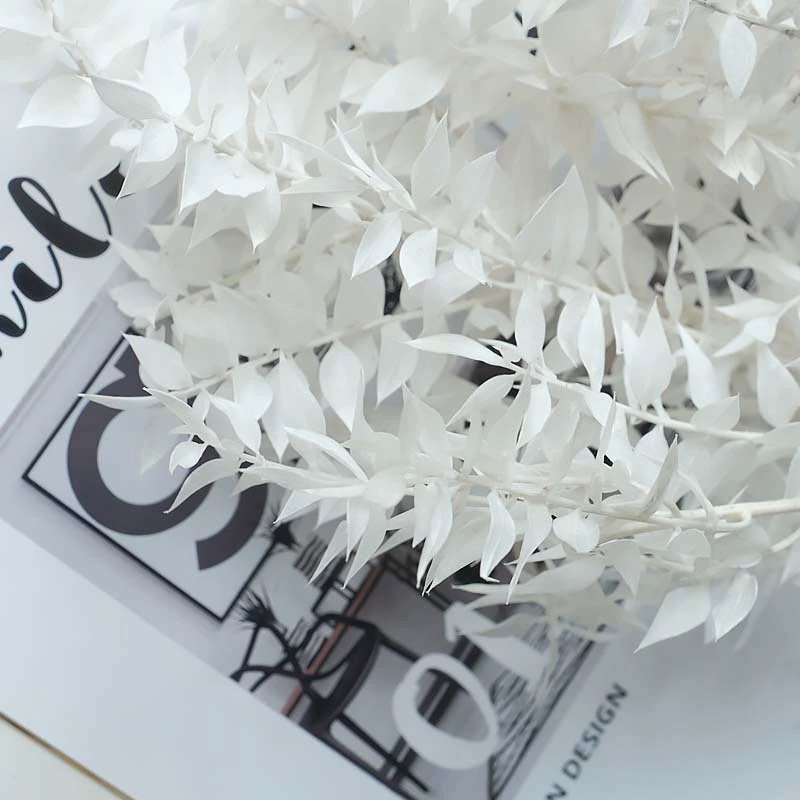 55cm Dried Forever Preserved Ruscus Flowers DIY Floral Decoration Dry Flower Bouquet for Wedding Home Decor