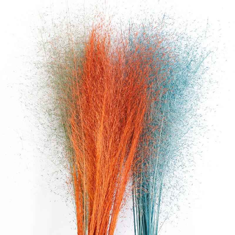 GH-041 Fluffy Feather Misty Cloud dried Whitefly muhlenbergia capillaris chaotic pink muhly grass zinfandel pampas grass decor