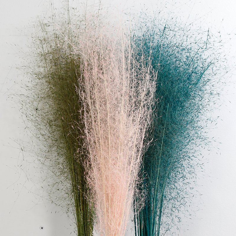 GH-041 Fluffy Feather Misty Cloud dried Whitefly muhlenbergia capillaris chaotic pink muhly grass zinfandel pampas grass decor