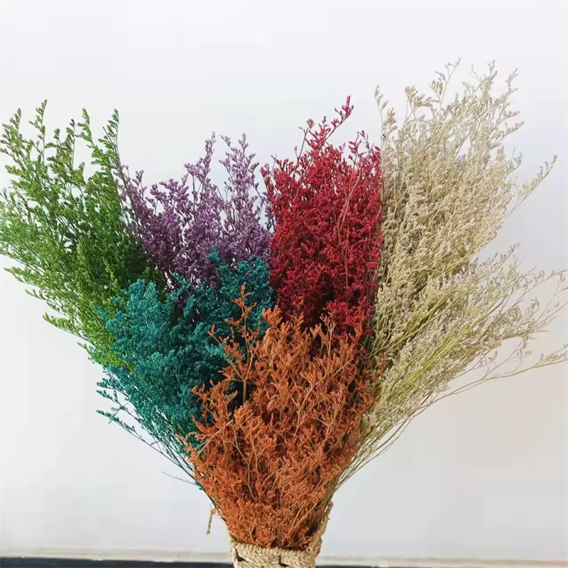Factory wholesale limonium caspea dried flowers sea lavender lover's grass for indoor bouquet decoration