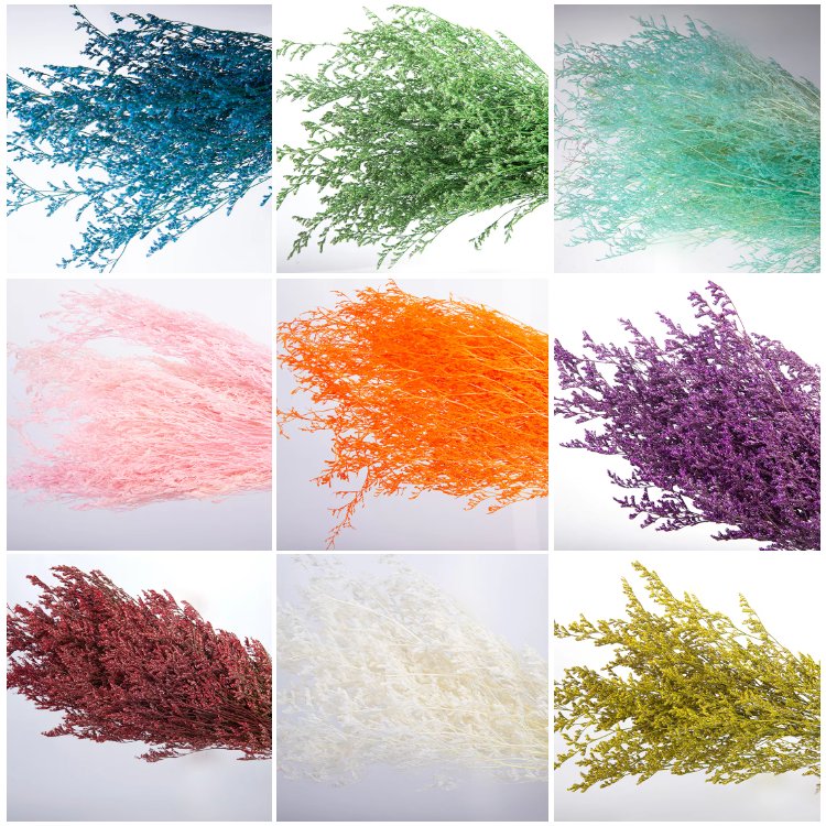 Factory wholesale limonium caspea dried flowers sea lavender lover's grass for indoor bouquet decoration