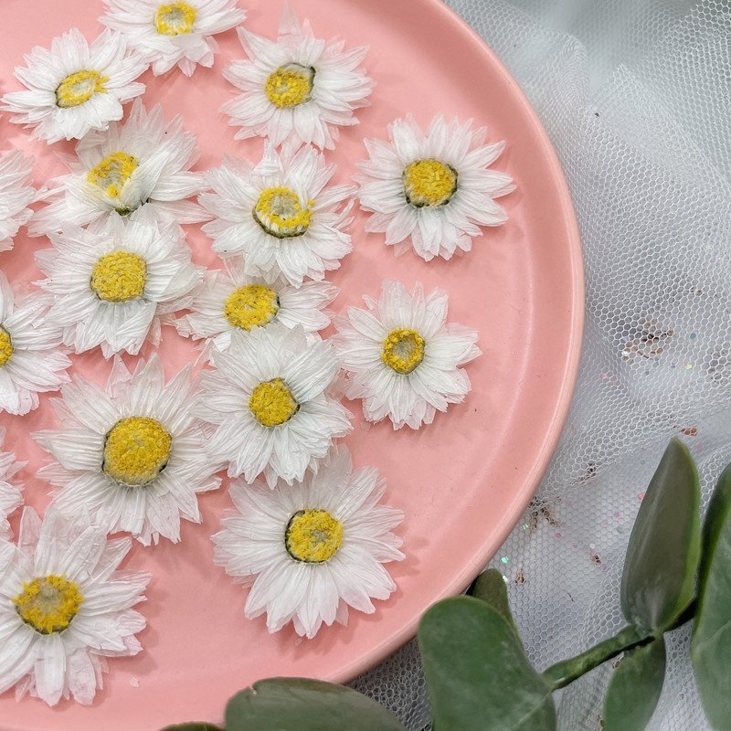 MNR1967 MOQ 12 pieces dried daisy flowers for making scented candles DIY
