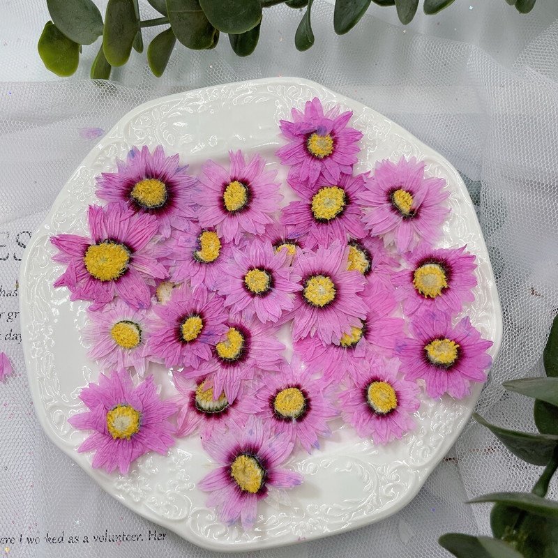 MNR1967 MOQ 12 pieces dried daisy flowers for making scented candles DIY