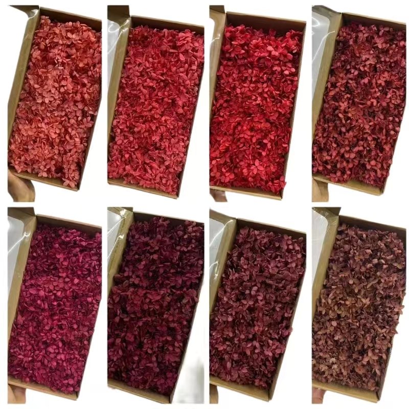 Yunnan Activelove Preserved Hydrangea Large Petals Dried Flower Decoration Dry Flower With Box Hydrangea For Flower Arrangement