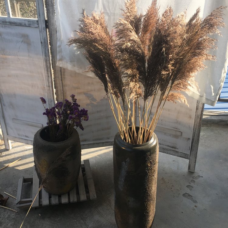 SumFlora 2024 Most Popular Dried Flower Dried Pampas Grass For Wedding Decoration