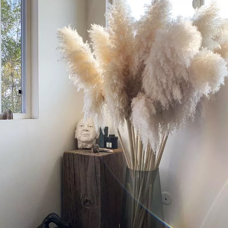 SumFlora 2024 Most Popular Dried Flower Dried Pampas Grass For Wedding Decoration