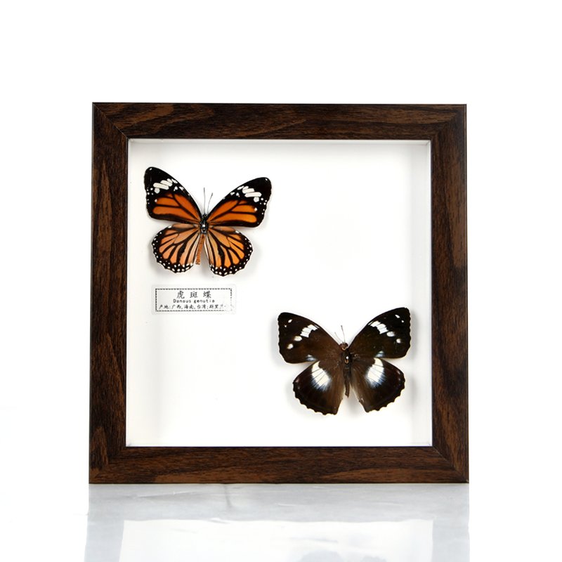 High Quality 3D Shadow Box for Dried Flower Picture Frame Plant Butterfly Specimen Photo Picture Frame