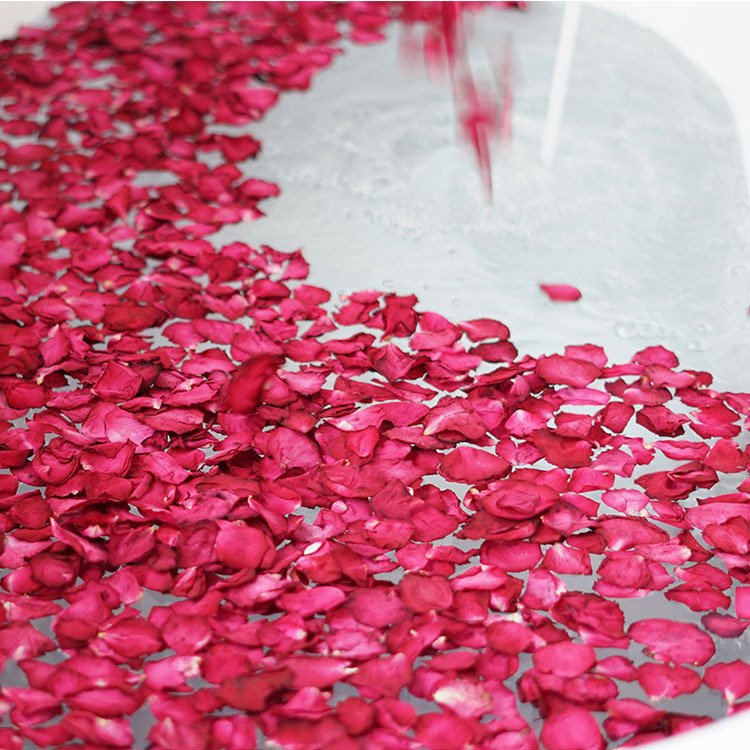 YOPIN-1192 Wholesale Rose Petals Dried 100% Natural Dry Rose Petals Flowers