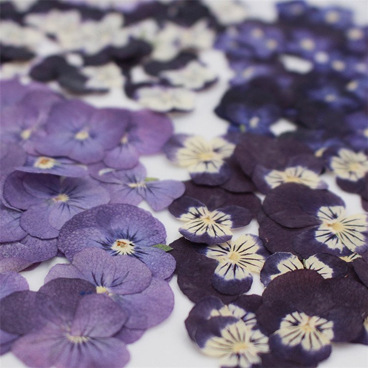 Viola Pansy With Yellow Nail Crafts Handmade Bookmarks Natural Plant Eco-friendly Real Pressed Dried Flower