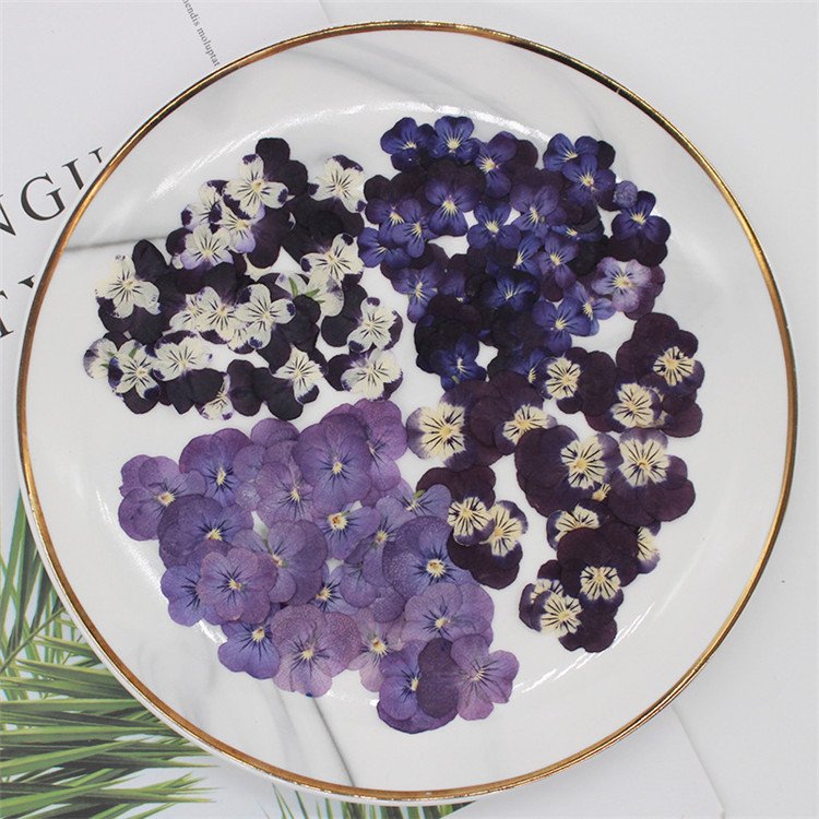 Viola Pansy With Yellow Nail Crafts Handmade Bookmarks Natural Plant Eco-friendly Real Pressed Dried Flower