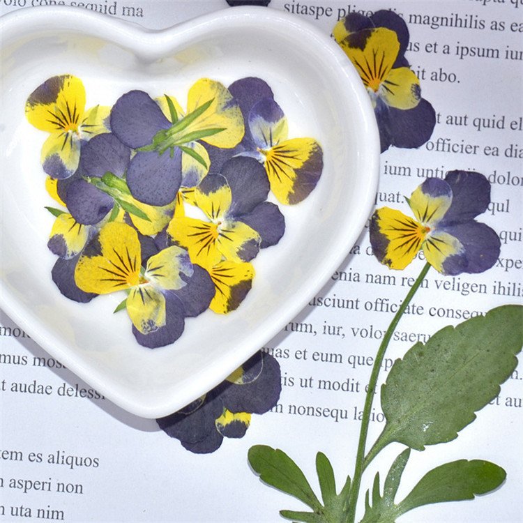 Viola Pansy With Yellow Nail Crafts Handmade Bookmarks Natural Plant Eco-friendly Real Pressed Dried Flower
