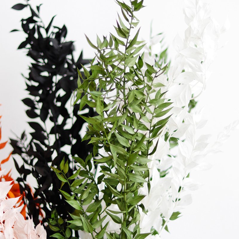 40g 45cm Dried Forever Preserved Ruscus Flowers DIY Floral Decoration Preserved Ruscus Leaves for Wedding Home Decor