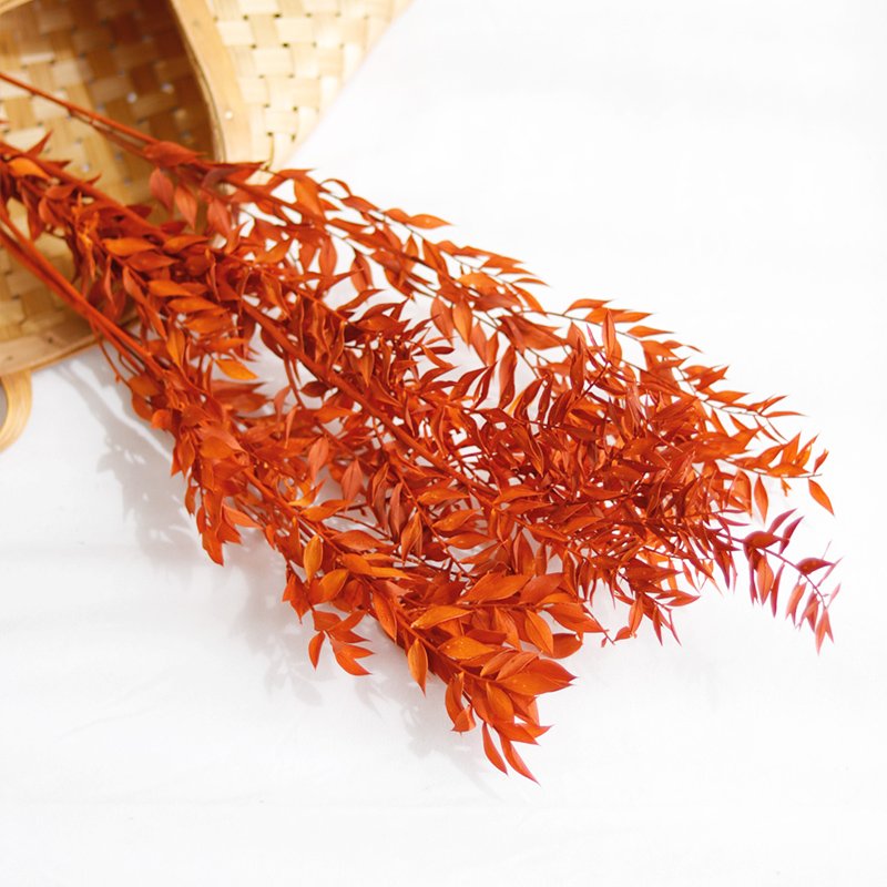40g 45cm Dried Forever Preserved Ruscus Flowers DIY Floral Decoration Preserved Ruscus Leaves for Wedding Home Decor