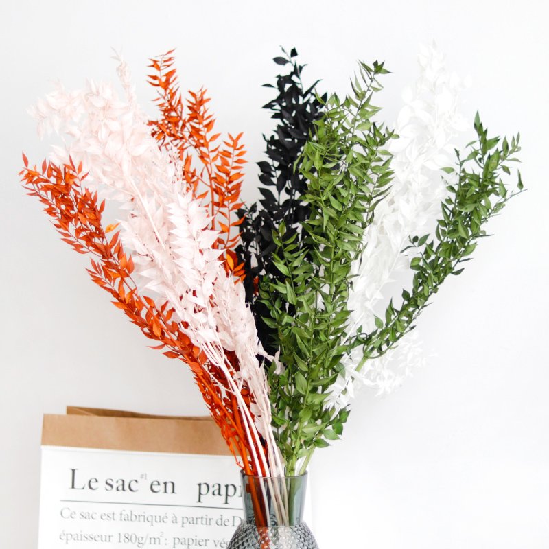 40g 45cm Dried Forever Preserved Ruscus Flowers DIY Floral Decoration Preserved Ruscus Leaves for Wedding Home Decor
