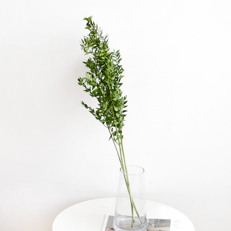 40g 45cm Dried Forever Preserved Ruscus Flowers DIY Floral Decoration Preserved Ruscus Leaves for Wedding Home Decor
