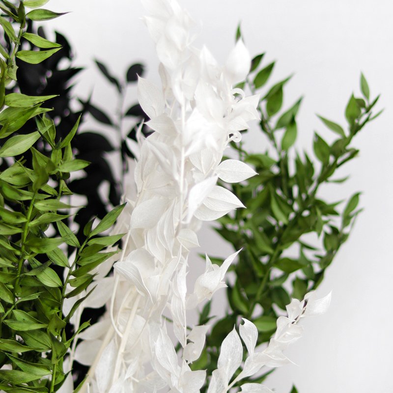 40g 45cm Dried Forever Preserved Ruscus Flowers DIY Floral Decoration Preserved Ruscus Leaves for Wedding Home Decor