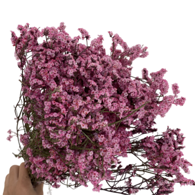Wedding Centerpieces & Table Decorations Dried Limonium Preserved Crystal Grass Dried Flower