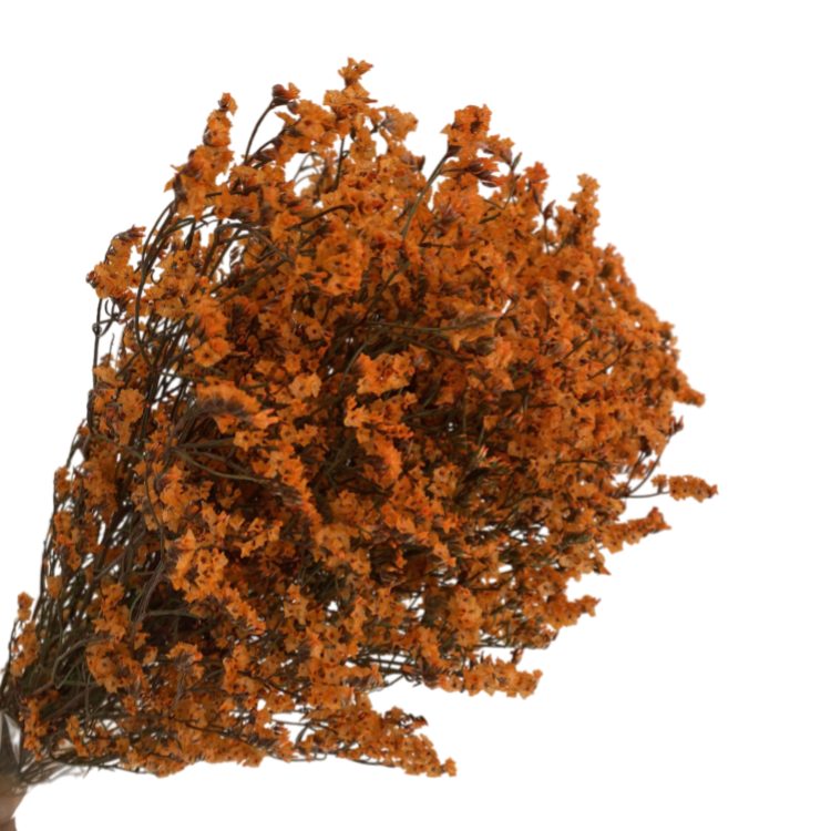 Wedding Centerpieces & Table Decorations Dried Limonium Preserved Crystal Grass Dried Flower