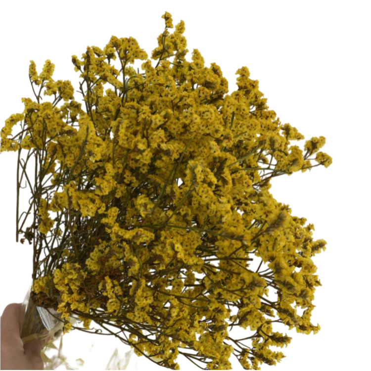 Wedding Centerpieces & Table Decorations Dried Limonium Preserved Crystal Grass Dried Flower