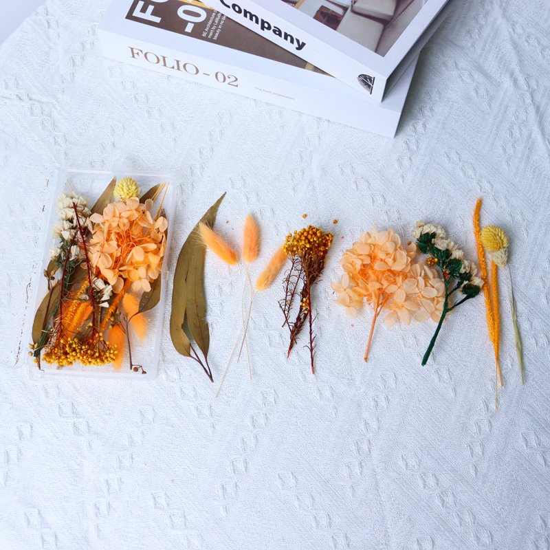Hot selling product popular dried flowers&plants customized acceptable dried flowers combination in acrylic box