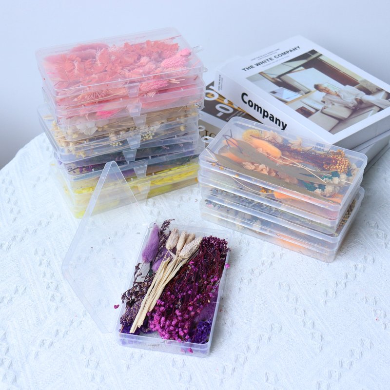 Hot selling product popular dried flowers&plants customized acceptable dried flowers combination in acrylic box