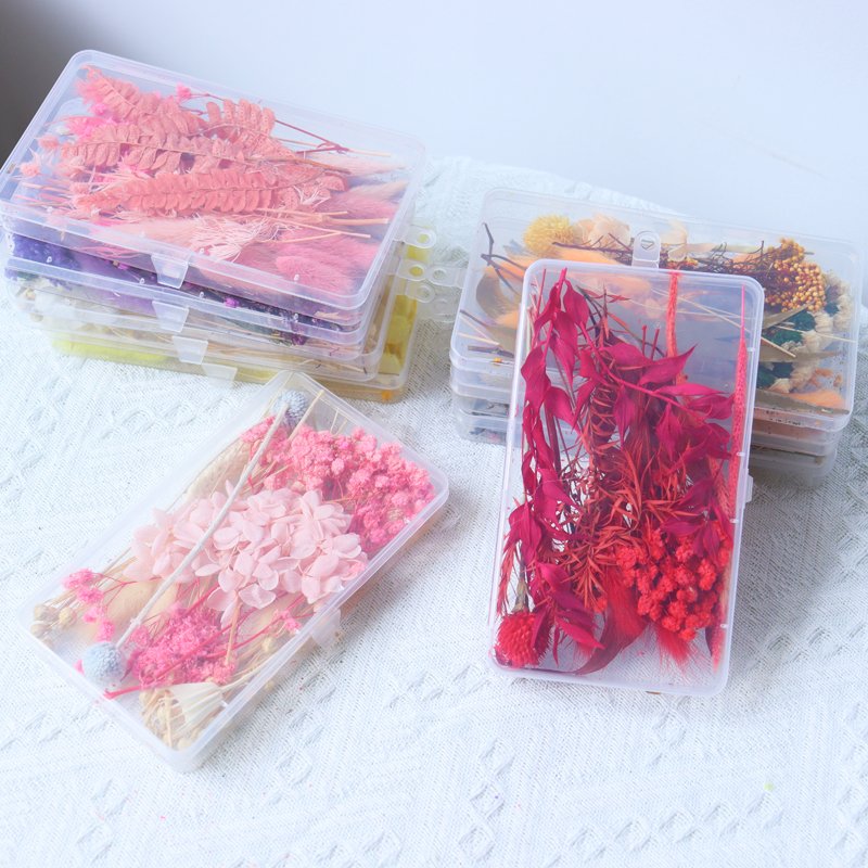 Hot selling product popular dried flowers&plants customized acceptable dried flowers combination in acrylic box