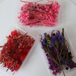 color2