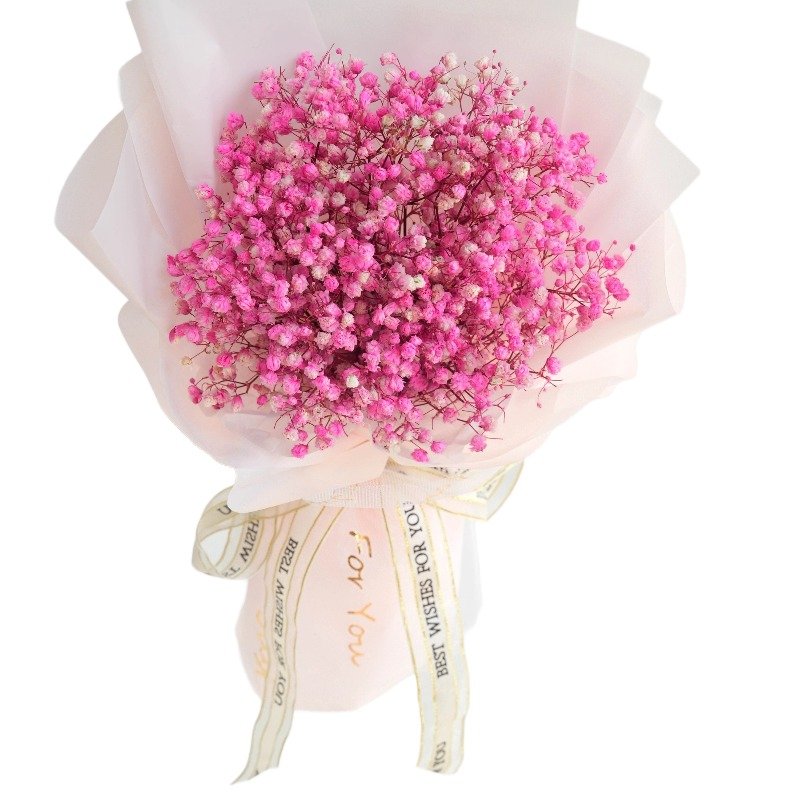 Dried Babys Breath Flower Bouquet Real Natural Gypsophila Branches for Vase gifts Wedding Table Centerpiece Wreath Floral Crafts
