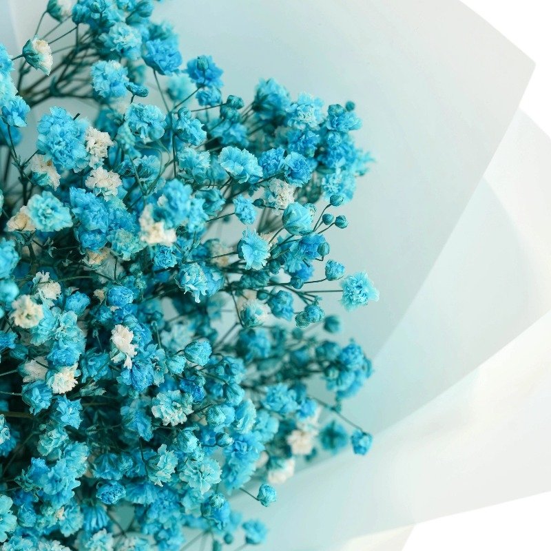 Dried Babys Breath Flower Bouquet Real Natural Gypsophila Branches for Vase gifts Wedding Table Centerpiece Wreath Floral Crafts