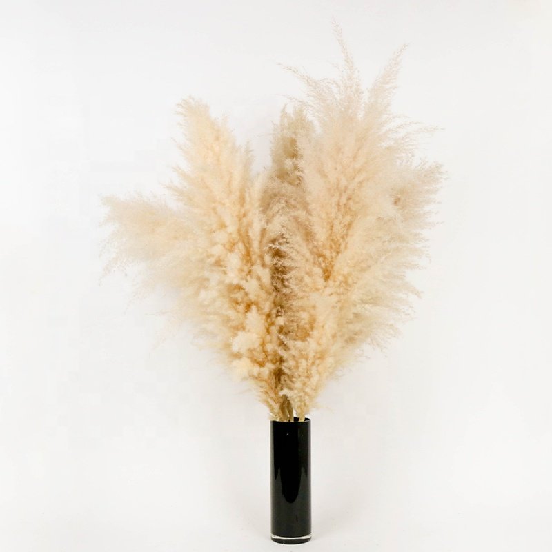 Decorative Flower Wedding Home Decor 120 cm Large Fluffy White Natural Dried Pampas Grass