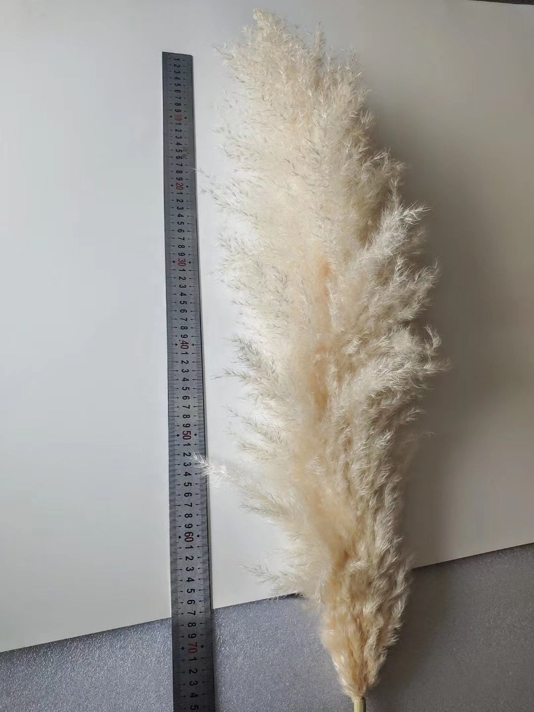 Decorative Flower Wedding Home Decor 120 cm Large Fluffy White Natural Dried Pampas Grass