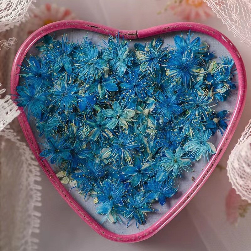 MNR2024 Natural Real Dried Pressed Flowers DIY Mixed Dry Flower Dried Pressed Flower Resin
