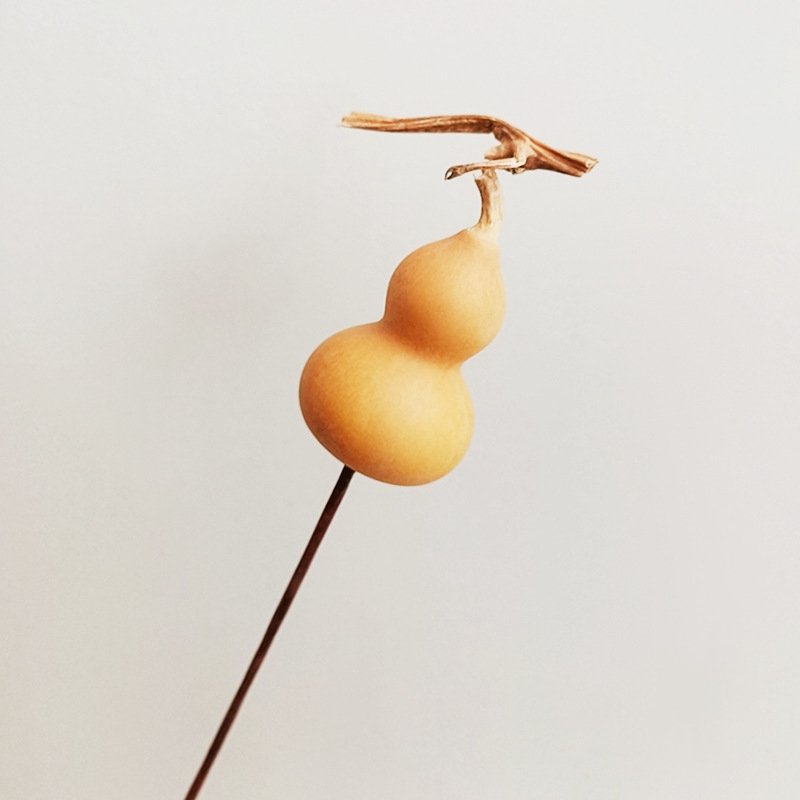DFS51 Splicing Gourd High quality INS popular natural dried flowers calabash gourd & lagenaria siceraria for home decor