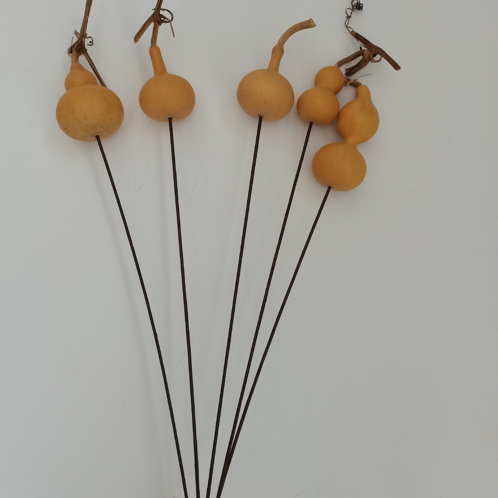 DFS51 Splicing Gourd High quality INS popular natural dried flowers calabash gourd & lagenaria siceraria for home decor