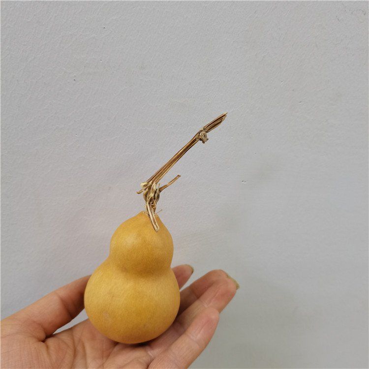 DFS51 Splicing Gourd High quality INS popular natural dried flowers calabash gourd & lagenaria siceraria for home decor