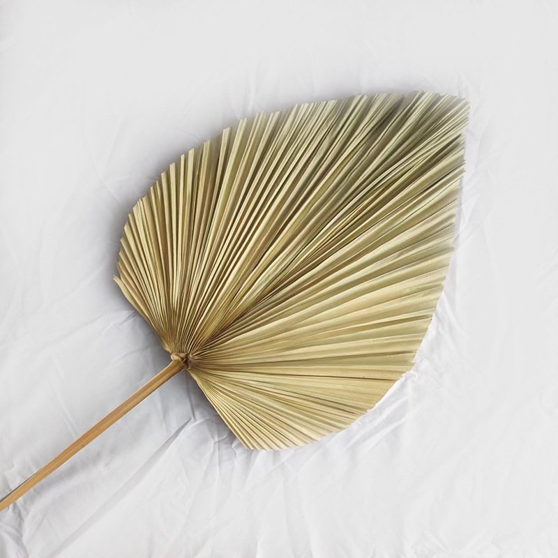 Wholesale Natural Color Dried Tropical Palm Leaves Natural Dried Palm Fans Flower For Wedding Home Decoration