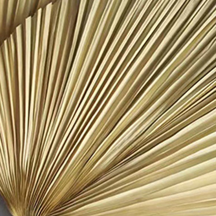 Wholesale Natural Color Dried Tropical Palm Leaves Natural Dried Palm Fans Flower For Wedding Home Decoration