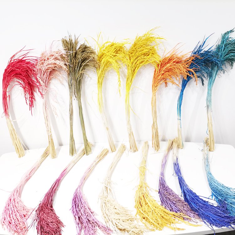 Sumflora New product 2024 popular stabilized flowers preserved flower gift new product ideas dried flowers rice
