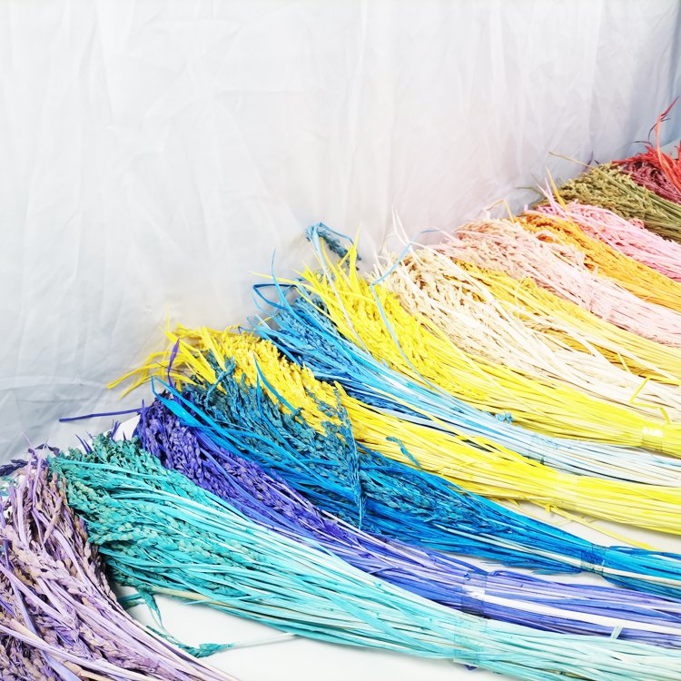 Sumflora New product 2024 popular stabilized flowers preserved flower gift new product ideas dried flowers rice