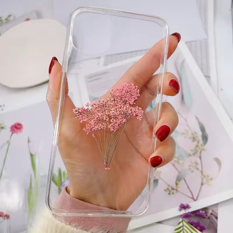 Pressed Dried natural flower, Ammi majus, press flowers for Resin handicrafts,bookmark, decoration