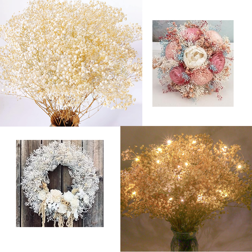 High Quality Dried Babys Breath Flowers Big Bulk 450G Preserved Flower Natural Gypsophila Branches For Wedding