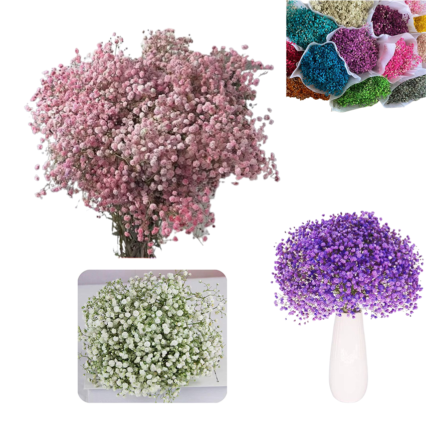 High Quality Dried Babys Breath Flowers Big Bulk 450G Preserved Flower Natural Gypsophila Branches For Wedding