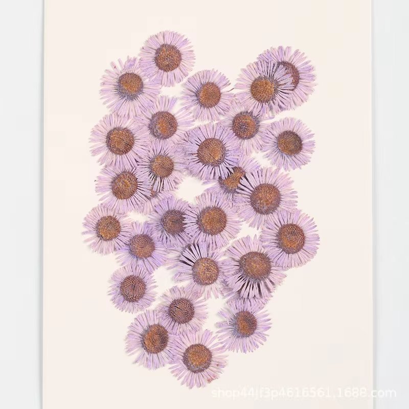 Dried Pressed Flowers Real Nature Flowers for Resin DIY Jewelry Candle Soap Vase Making Nail Card Art Craft