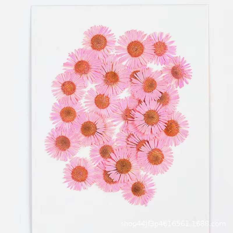 Dried Pressed Flowers Real Nature Flowers for Resin DIY Jewelry Candle Soap Vase Making Nail Card Art Craft