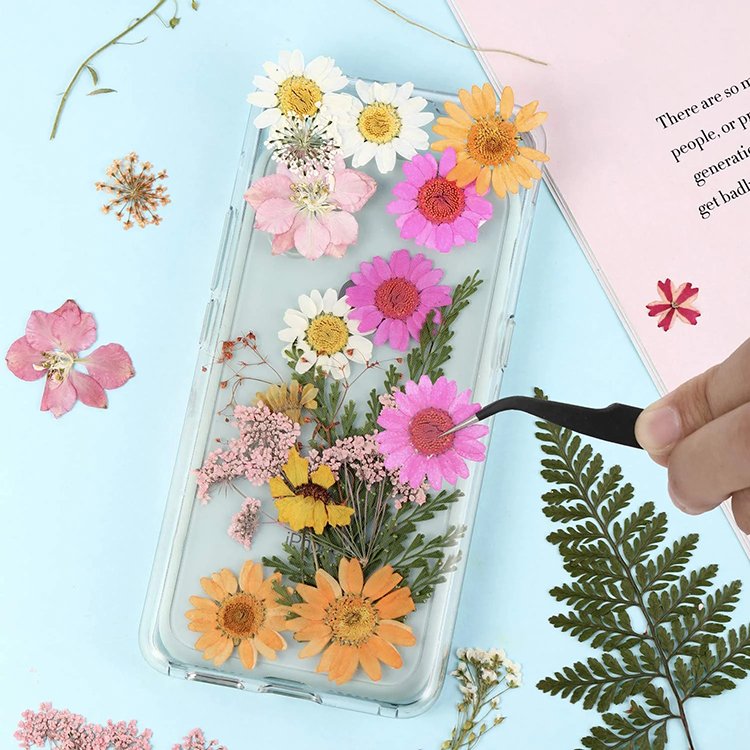 hot sale Nail Mini Resin Flowers Art natural rreal dry pressed purple flowers plant grass for mothers day gifts