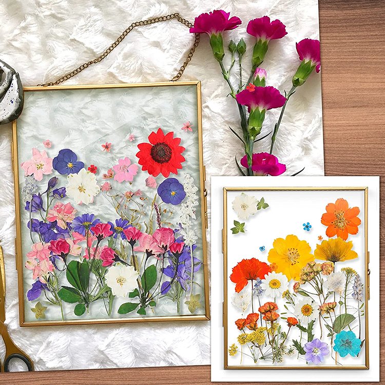 hot sale Nail Mini Resin Flowers Art natural rreal dry pressed purple flowers plant grass for mothers day gifts