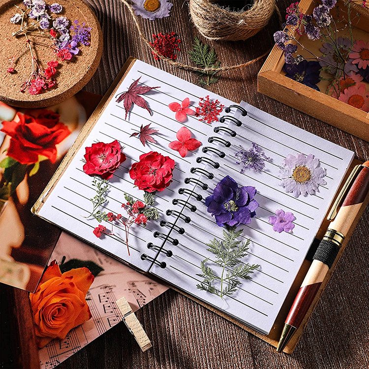 hot sale Nail Mini Resin Flowers Art natural rreal dry pressed purple flowers plant grass for mothers day gifts